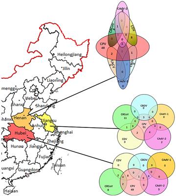 Frontiers | Novel Genotype Definition and the First Epidemiological